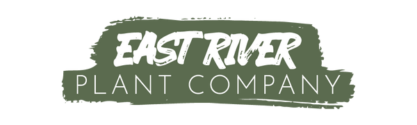 East River Plant Company